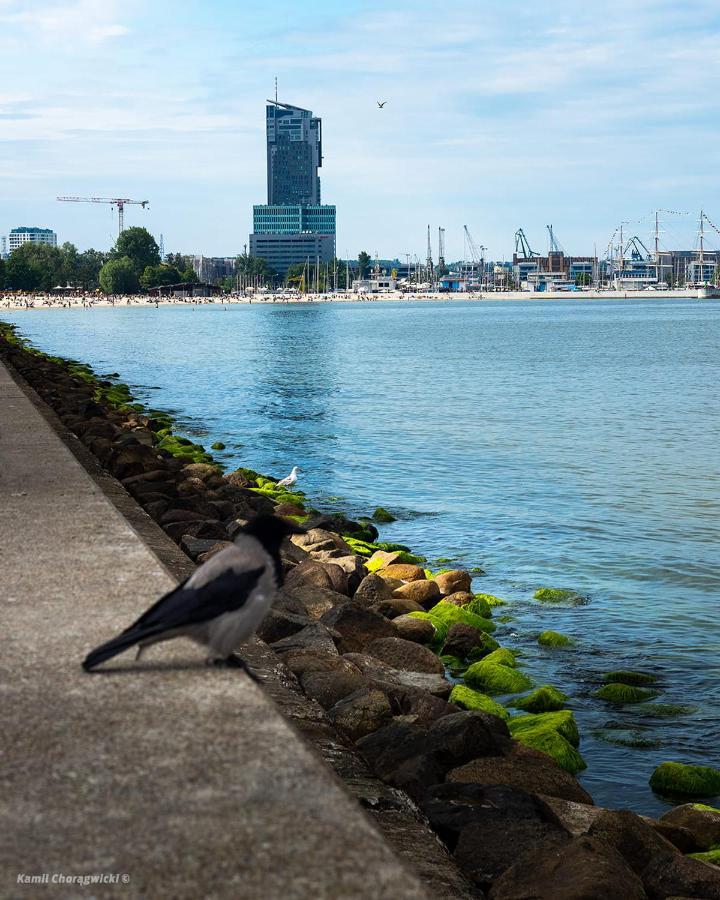Apartamento Osada Kormorana Gdynia Exterior foto